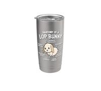 Boys Girls Anatomy of Mini Holland Lop Bunny Rabbit Lover Vaso térmico de acero inoxidable de doble pared