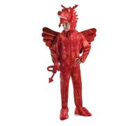 Boys Girls Red Dragon Medieval Book Day Halloween Welsh Wales St Davids Day Fanc