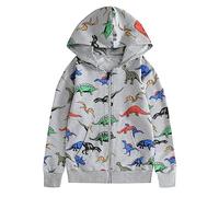 Boys Hoodies & Sweatshirts Sudaderas Ligeras con Cremallera y Capucha para niños diseño de Dinosaurio Manga Larga Ideal para Adolescentes de 3 a 12 años (Grey, 6-7 Years)