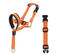 Bozal de nailon para perros, entrenamiento seguro para perros agresivos, correa ajustable para detener las mordeduras