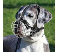 Bozal de Perro de Metal con Correas de Cuero, Pitbull, Gran Danés, Rottweiler, Cesta de Alambre Seguro, Transpirable, Ajuste Ajustable para Perros Grandes (Plata)