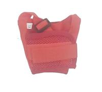 Bozal Golden Retriever & Teddy para perro, máscara antimordedura para masticar con agujero para beber para perros pequeños y medianos (rojo, XXL)