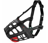 Hunter - Bozal Albury 1