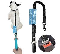 BPS Cinturón de Seguridad para Perro de Coche Árnes Correa Perro Ajustable con Hebilla de Fijación para Uso en Exteriores Cuerda Elástica de Alta Resistencia 70-100 cm (Negro) BPS-13016NE