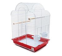 BPS Jaula Loro Metal para Pájaros Jaula Grande con Comedero Bebedero Saltador Cubeta Color envia al Azar (49.5 x 41.5 x 69 cm) BPS-1150