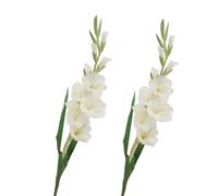 BQEE Flor de gladiolo artificial de tallo largo, juego de 2, decoración del hogar, boda, oficina (blanco)