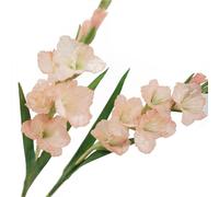 BQEE Flor de gladiolo artificial de tallo largo, juego de 2, decoración del hogar, boda, oficina (rosa)
