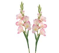 BQEE Flor de gladiolo artificial de tallo largo, juego de 2, decoración del hogar/boda/oficina (rosa coral)