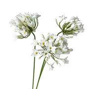 BQEE Flores artificiales, 3 unidades, agapanthus africano, rosa de seda falsa para centros de mesa de boda (blanco)