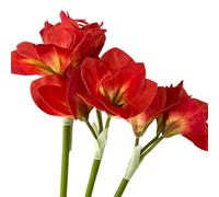 BQEE Flores artificiales de amarilis, 21.5 pulgadas, rojo, blanco, rosa, juego de 3, lirios sintéticos para boda, hogar, oficina, decoración de hotel (rojo)