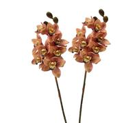 BQEE Real Touch - Tallos artificiales de orquídea Cymbidium de 80 cm, flores de orquídea sintética de 80 cm, flores grandes de 8 cabezas, tallos flexibles, paquete de 2 para decoración del hogar, boda