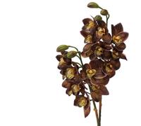 BQEE Real Touch - Tallos artificiales de orquídea Cymbidium de 80 cm, flores de orquídea sintética de 80 cm, flores grandes de 8 cabezas, tallos flexibles, paquete de 2 para decoración del hogar, boda