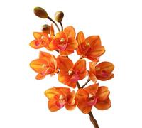 BQEE Real Touch - Tallos artificiales de orquídea Cymbidium de 80 cm, flores de orquídea sintética de 80 cm, flores grandes de 8 cabezas, tallos flexibles, paquete de 2 para decoración del hogar, boda