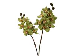 BQEE Real Touch - Tallos artificiales de orquídea Cymbidium de 80 cm, flores de orquídea sintética de 80 cm, flores grandes de 8 cabezas, tallos flexibles, paquete de 2 para decoración del hogar, boda