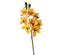 BQEE Real Touch - Tallos artificiales de orquídea Cymbidium de 80 cm, flores de orquídea sintética de 80 cm, flores grandes de 8 cabezas, tallos flexibles, paquete de 2 para decoración del hogar, boda
