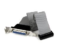 StarTech.com - Adaptador de 40cm Header Cabezal Bracket Paralelo Perfil Bajo DB25 a IDC26 Pines Placa Base