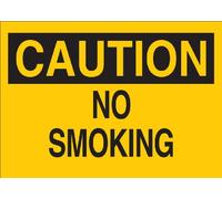 Brady 72285 Leyenda"No Smoking" de fibra de vidrio de primera calidad, 35,5 x 50,8 cm