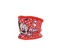 Braga polar Minnie mouse.