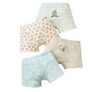 Braguitas Niña 10 Años - 4 Calzoncillos De Algodón para Niños Pequeños Ropa Interior Suave para Camión De Dinosaurios (7-8 Years)