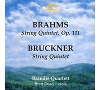 Brahms, Bruckner : Quintettes à cordes. Brandis Quartett.