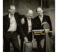 Brahms, Krenek : Trios pour piano. Feininger Trio.