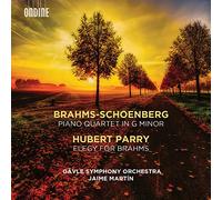 Brahms : Quatuor avec Piano - Parry : Elegie pour Brahms