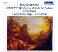 Brahms - Trio for Horn, Violin & Piano