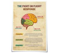 Brain Anatomy & Nervous System Poster - Educational Chart on the Autonomic Response, Canvas Wall-Art for Science Classroom, Study Room, or Therapist Office Decor(Unframed,08x12inch(20x30cm))