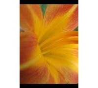 Brain Dump Check List