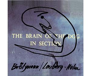 Brain of the Dog in Section