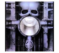Brain Salad Surgery