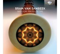Bram van Samb assoon Kaleidoscope