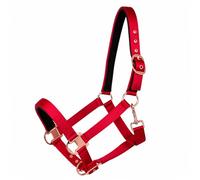 Brama West Cabestro caballo brillante con herrajes de oro rosa | Hecho de satén suave y brillante de alta calidad | con acolchado de neopreno en la nariz y el cuello (rojo vino, cob)