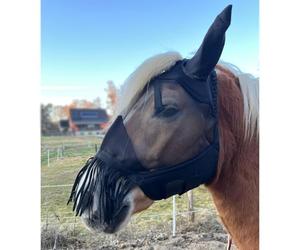 Brama-West NoseGuard - Máscara antimoscas para caballo con protección para las orejas y flecos nasales (Cob)