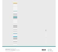 Branciforte, Joseph / Bleckmann, Theo - LP2 [Vinilo]