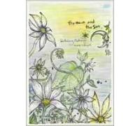 Brand New Dvd [DVD de Audio]