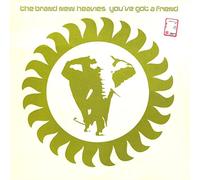 BRAND NEW HEAVIES - BRAND NEW HEAVIES / YOU'VE GOT A FRIEND