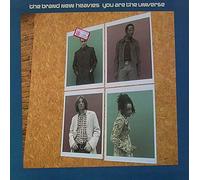 Brand New Heavies, the - You Are the Universe [Vinilo]