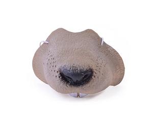 BRAND NEW MOUSE NOSE PIECE ANIMAL FANCY DRESS ACCESSORY (accesorio de disfraz)