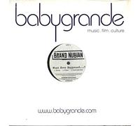 Brand Nubian - What Ever Happened?? [Vinilo]
