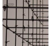 Brandlmayr - Till the Old World's Blown Up & a New One Is Creat [Vinilo]