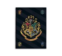 BrandMac Harry Potter Forro - Manta 100x140 Manta para Arrullarse Hogwarts