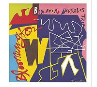 Branford Marsalis - Bloomington