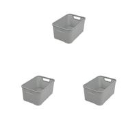 BranQ Home essential Cesta universal y multifuncional en diseño de ratán, tamaño S 7 L, sin bisfenol A, plástico polipropileno, gris claro, 28,5 x 19,5 x 12,9 cm (Paquete de 3)