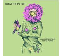 Brant Bjork And The Bros – Once Upon A Time In The Desert – CD – Importación USA