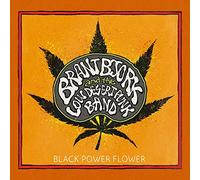 Brant Bjork - Black Power Flower