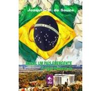 Brasil Um País Emergente A Frágil Democracia (ebook)