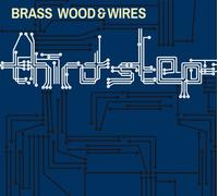 Brass Wood & Wires - Third Step