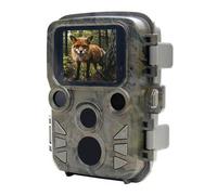 Braun Cámara de exploración Black800 Mini