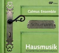 Hausmusik: Musica En El Hogar De Robert Y Clara Schumann / Braunlich, Calmus Ensemble